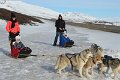 Dog sledding (16)